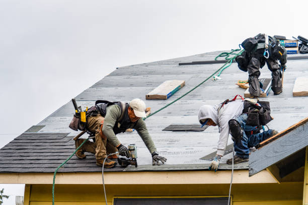 Professional Storm Damage Roof Repair technician working in Westfield, IA